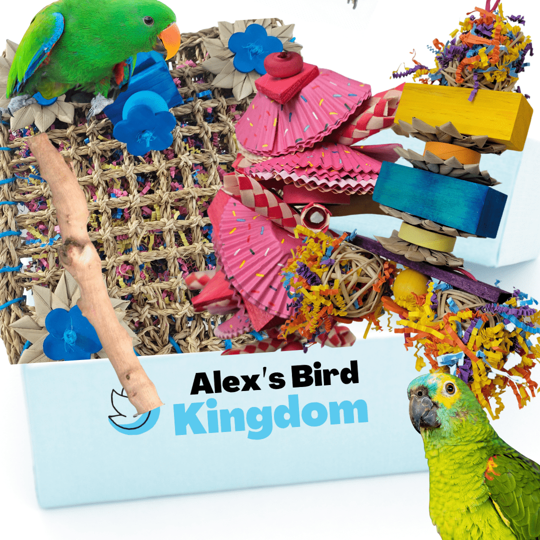 Alex Bird Toys Bird Toys Deluxe Parrot Enrichment Kit – For Large Birds