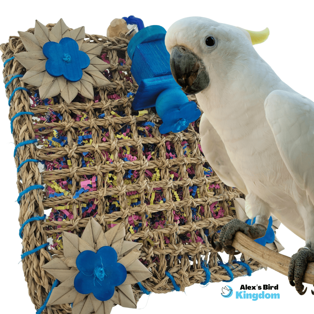 Forage Fun Seagrass Mat Bird Toy – Foraging Toy for Large Parrots ...