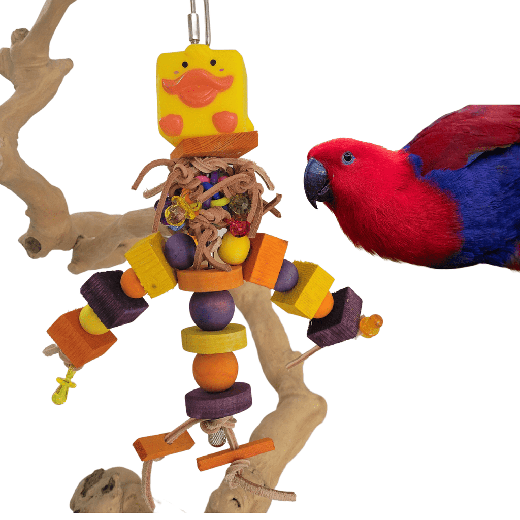 Bungee 1/2 x 52 Bird Toy – Alex's Bird Kingdom