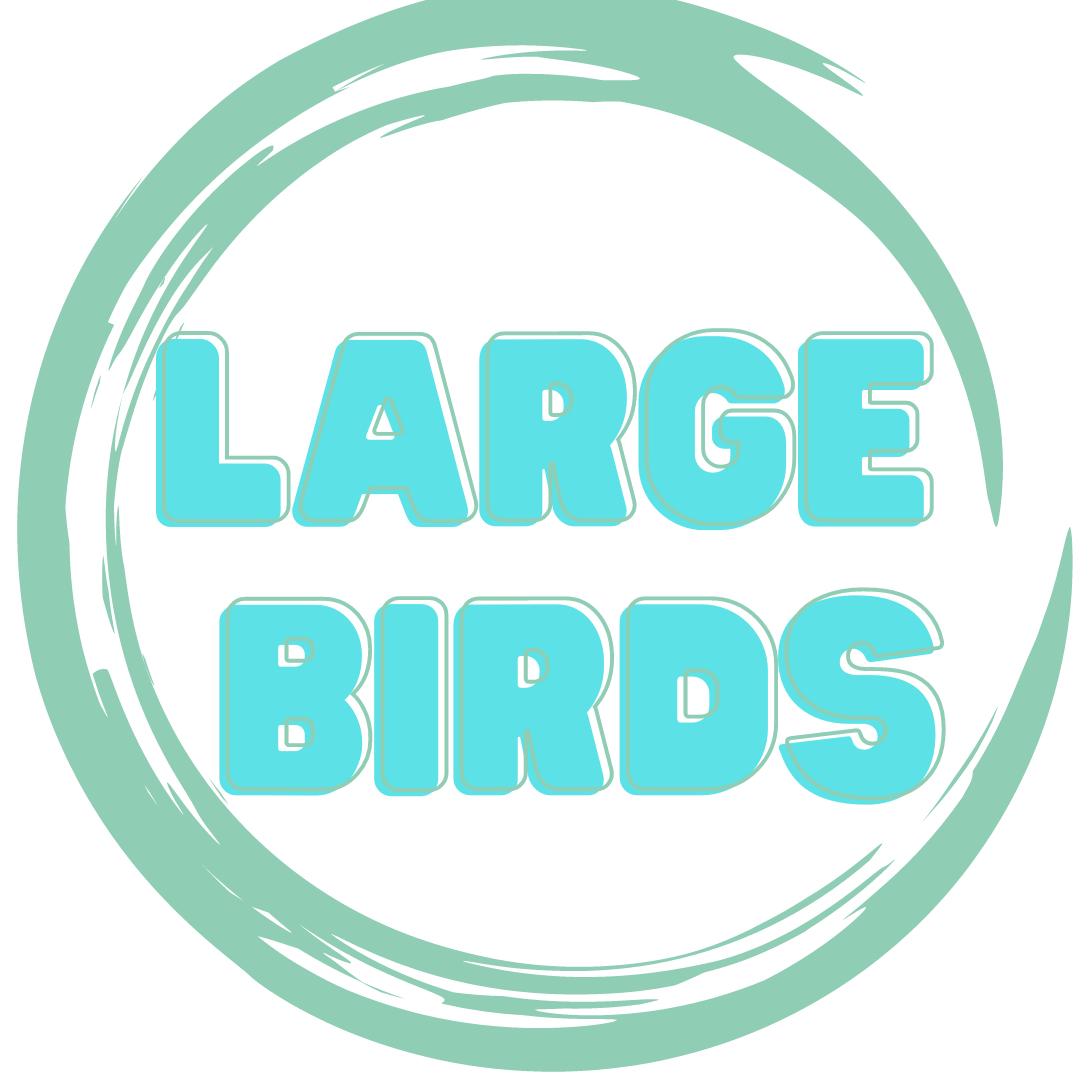 Alex Bird toys- handmade toys designed for big parrots like  African greys, Amazons and cockatoos
