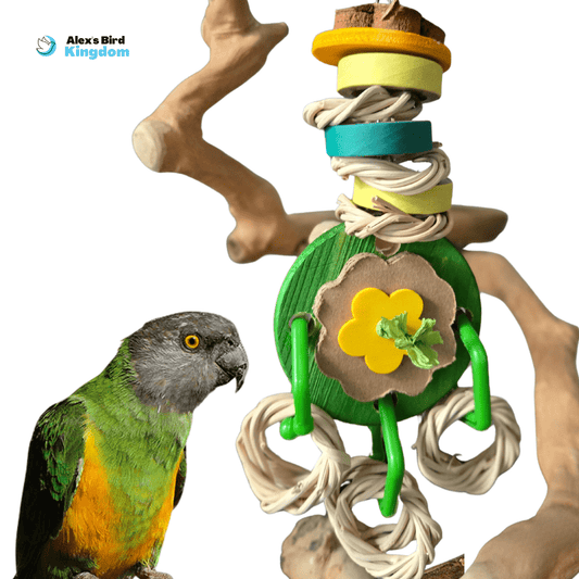 Alex Bird Toys Bird Toys Nature’s Playground Bird Toy – For Medium Birds