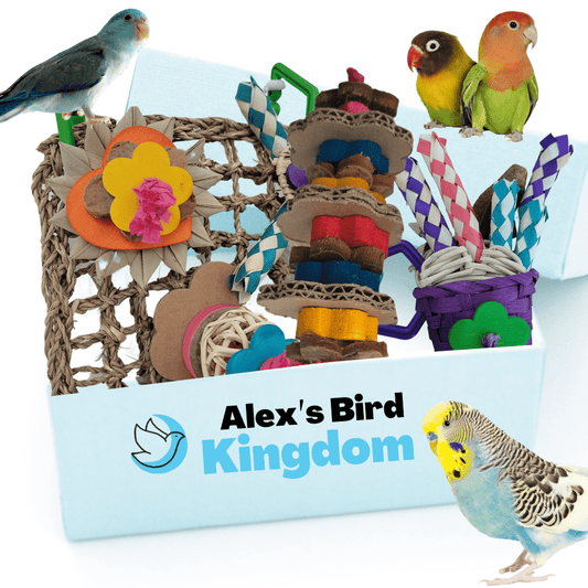 Alex Bird Toys Bird Toys Small Parrot Toy Bundle | Enrichment Kit for Parakeets, Lovebirds & Parrotlets