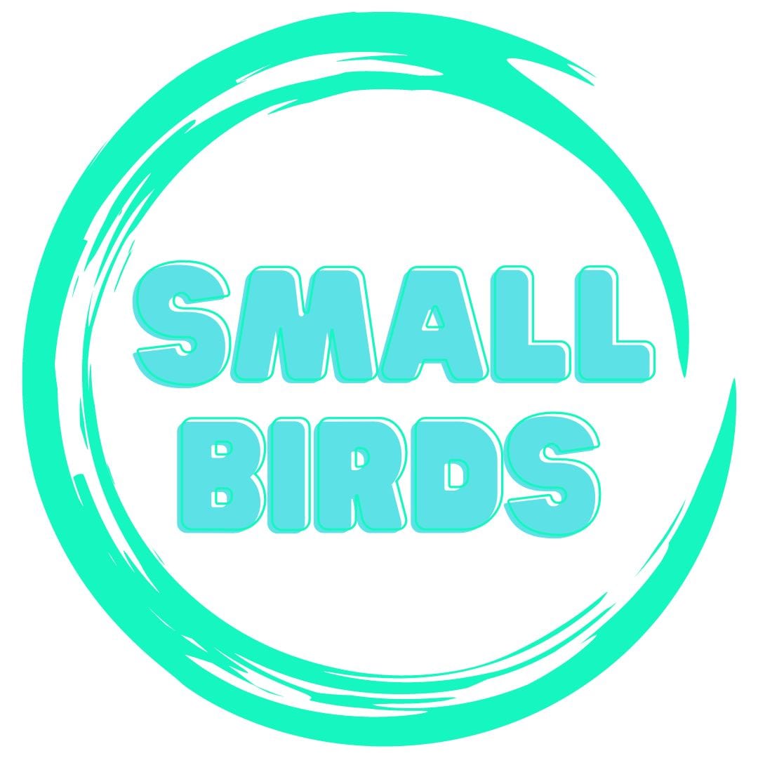 Alex Bird Toy- handmade toys designed for small parrots like budgies, cockatiels, and lovebirds