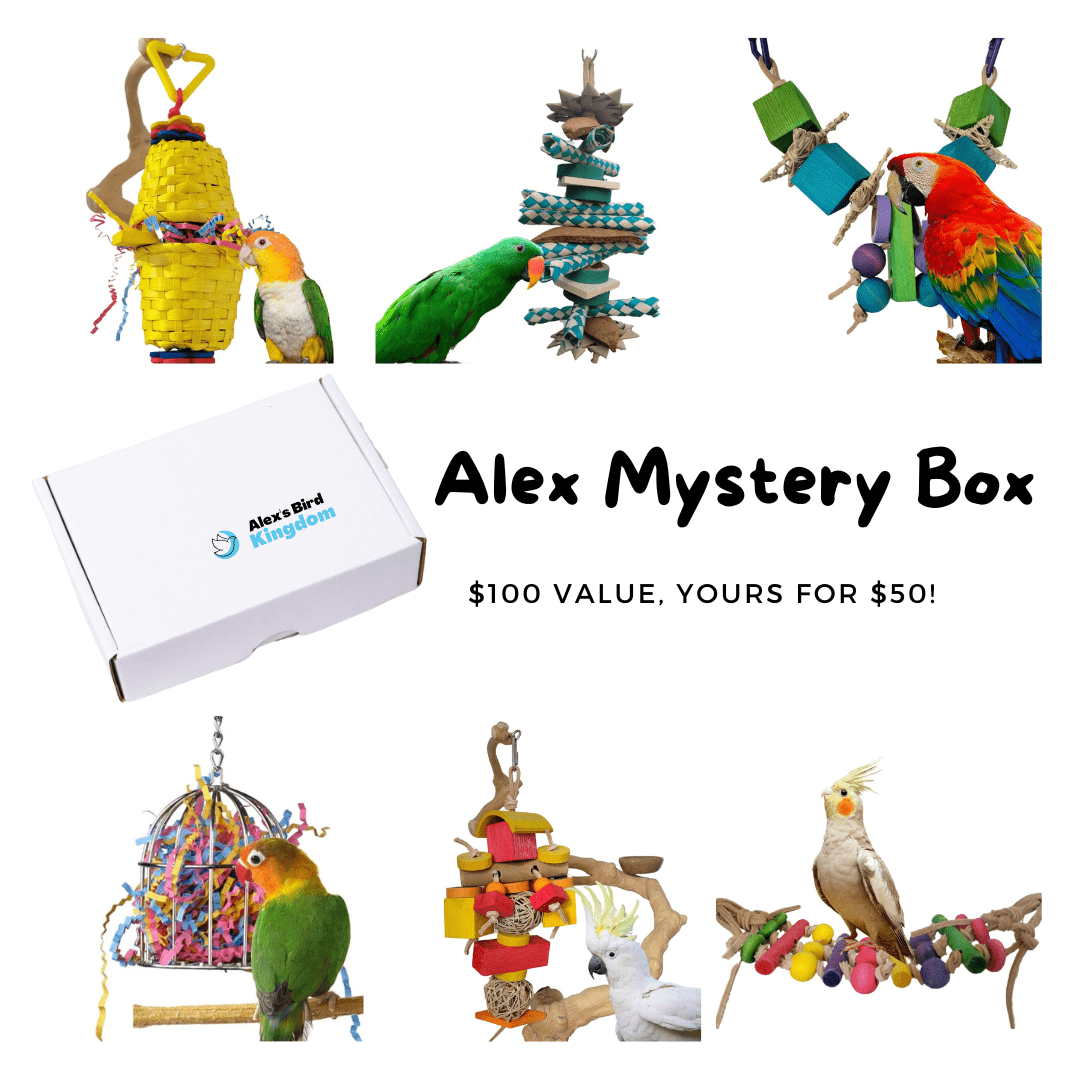 Alex's Bird Kingdom Bird Toys Alex Mystery Box