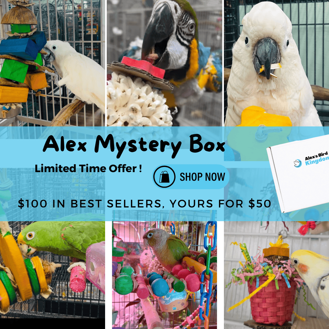 Alex's Bird Kingdom Bird Toys Alex Mystery Box – Best Sellers Edition