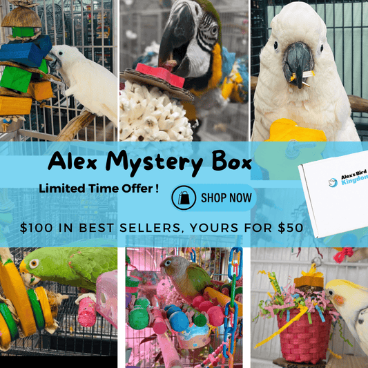 Alex's Bird Kingdom Bird Toys Alex Mystery Box – Best Sellers Edition