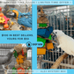 Alex's Bird Kingdom Bird Toys Alex Mystery Box – Best Sellers Edition
