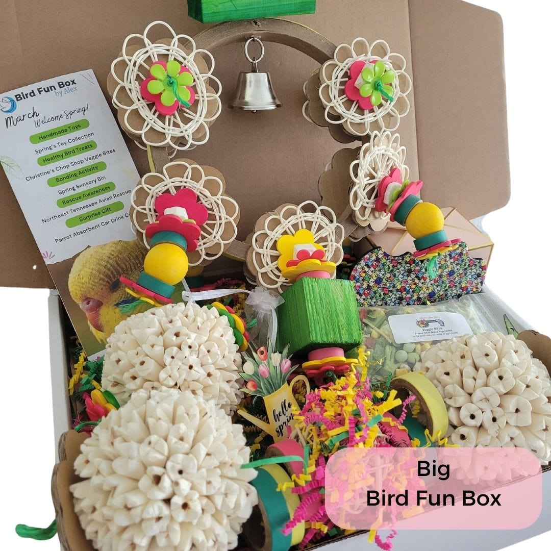 Alex's Bird Kingdom Bird Toys Bird Fun Box by Alex - Big - Monthly Subscription Box