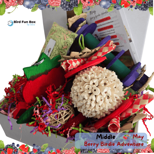 Alex's Bird Kingdom Bird Toys Bird Fun Box by Alex - Middle - Monthly Subscription Box