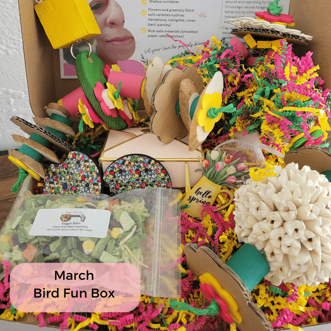 Alex's Bird Kingdom Bird Toys Bird Fun Box by Alex - Middle - Monthly Subscription Box