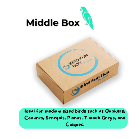 Alex's Bird Kingdom- Bird Fun Box by Alex - Middle - Monthly Subscription Box with Handmade bird toys for medium parrots