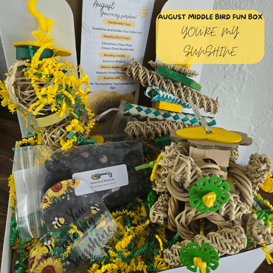 Alex's Bird Kingdom Bird Toys Bird Fun Box by Alex - Middle - Monthly Subscription Box