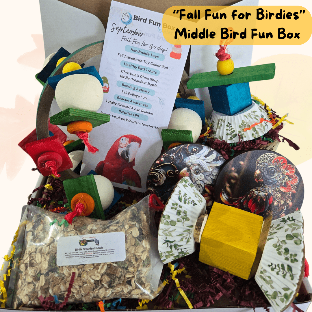 Alex's Bird Kingdom Bird Toys Bird Fun Box by Alex - Middle - Monthly Subscription Box