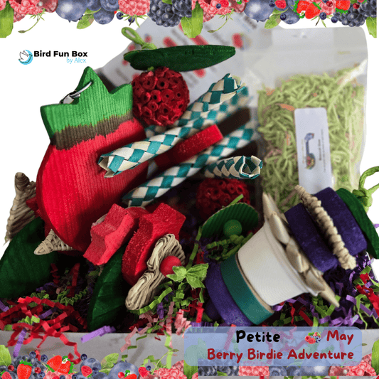 Alex's Bird Kingdom Bird Toys Bird Fun Box by Alex - Petite - Monthly Subscription Box