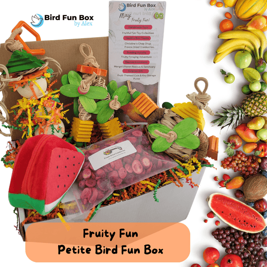 Alex's Bird Kingdom Bird Toys Bird Fun Box by Alex - Petite - Monthly Subscription Box