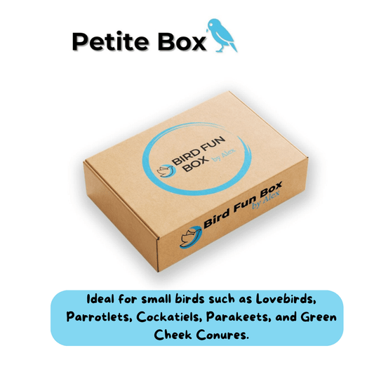 Alex's Bird Kingdom- Bird Fun Box by Alex -Petite Bird Fun Box – handmade toys for small parrots