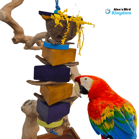 Heavy-duty bird toy with coconut half, pine blocks, and paper textures for large parrots like macaws and cockatoos, designed for strong chewers