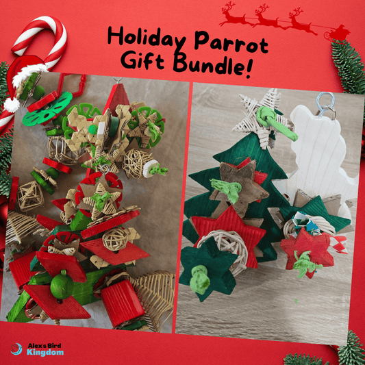 Alex's Bird Kingdom Bird Toys Holiday Parrot Gift Bundle