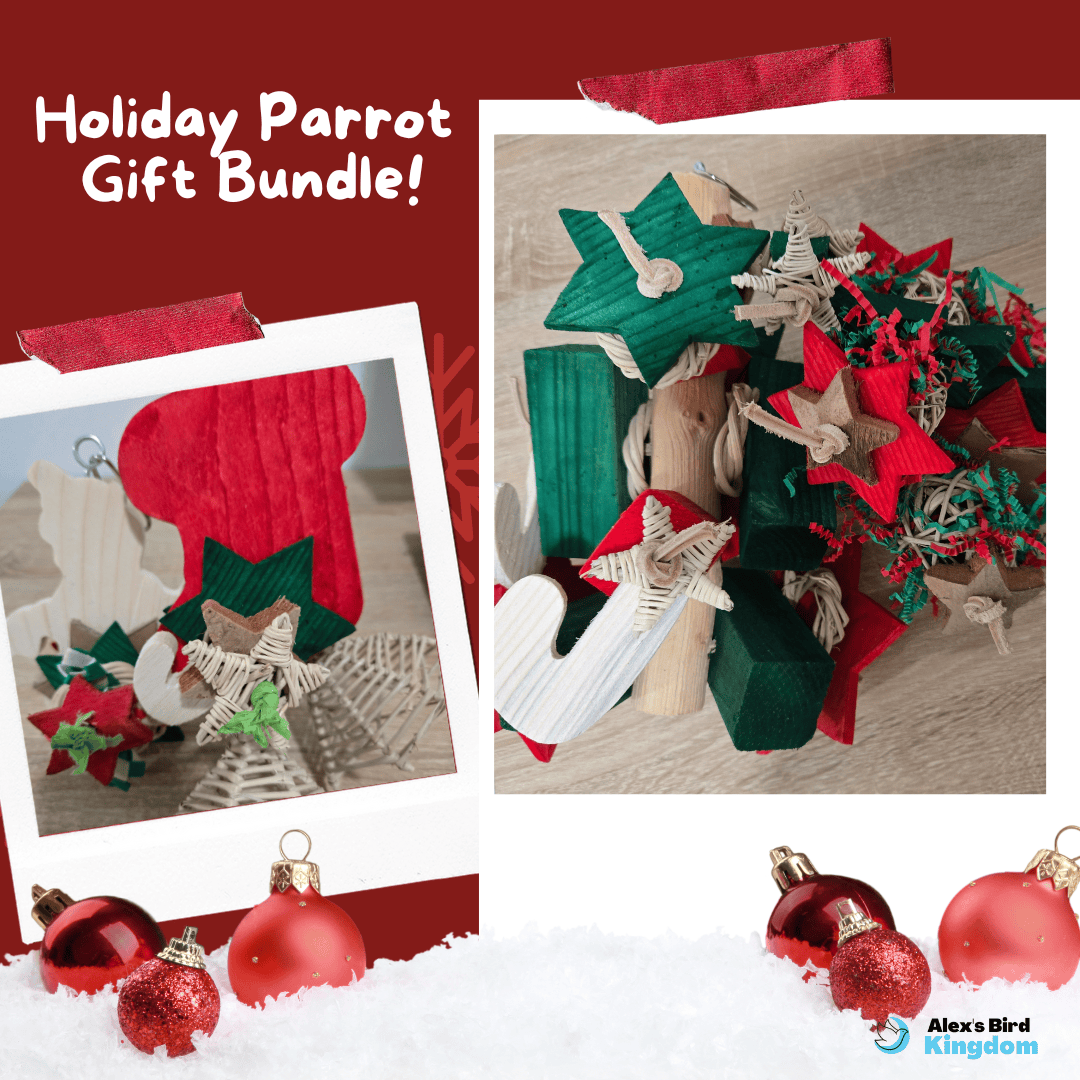 Alex's Bird Kingdom Bird Toys Holiday Parrot Gift Bundle