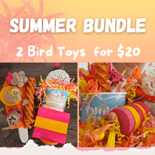Alex's Bird Kingdom Bird Toys Ready for Summer Bundle – 2 Mystery Toys for $20