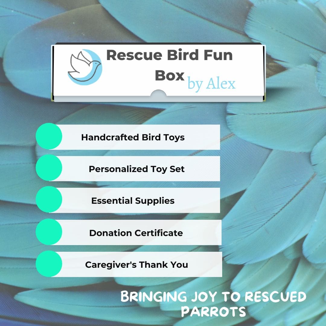 Alex's Bird Kingdom Bird Toys Rescue Bird Fun Box by Alex