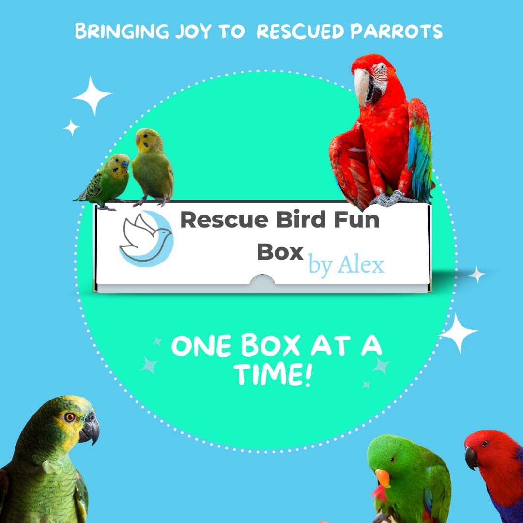 Alex's Bird Kingdom Bird Toys Rescue Bird Fun Box by Alex