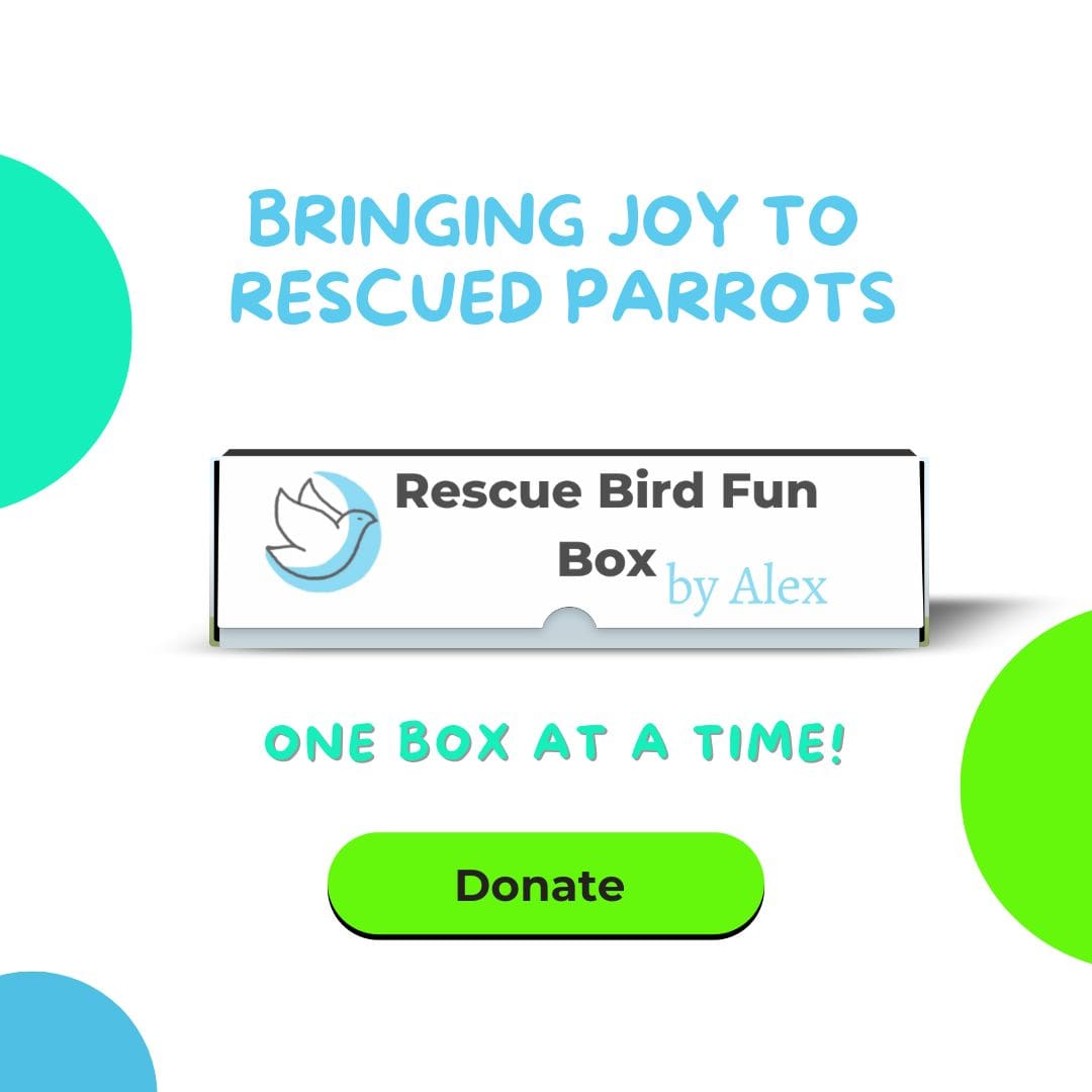 Alex's Bird Kingdom Bird Toys Rescue Bird Fun Box by Alex