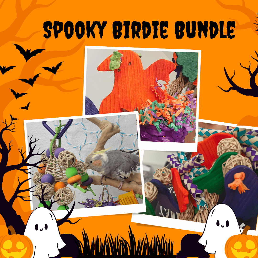 Alex's Bird Kingdom Bird Toys Spooky Birdie Bundle – Limited Edition