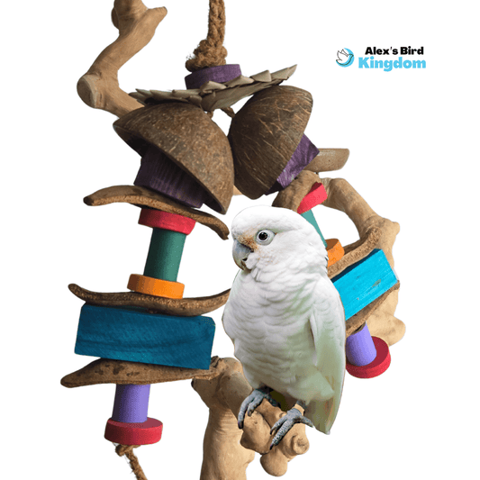 Bird toy with coconut shell, palm leaf, pine blocks, and rope for medium to large parrots like African greys and macaws