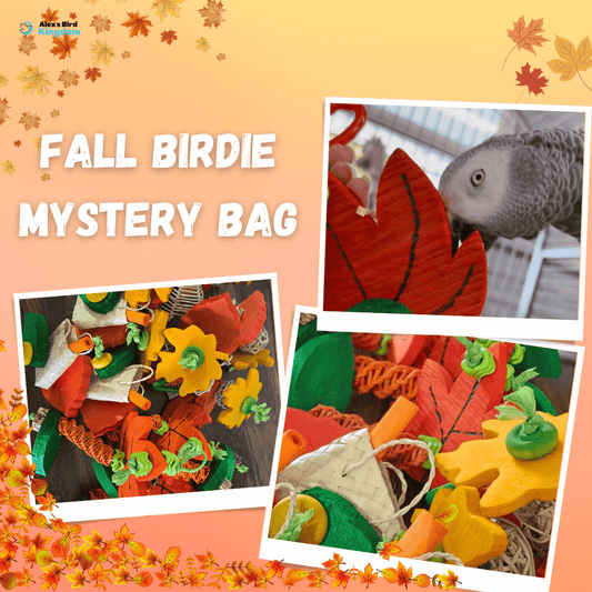 Alex's Bird Kingdom Fall Birdie Mystery Bag | Handmade Bird Toys | Limited Edition