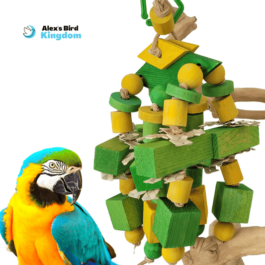 Scooter Z's Bird Toys Hanging Bird Gym