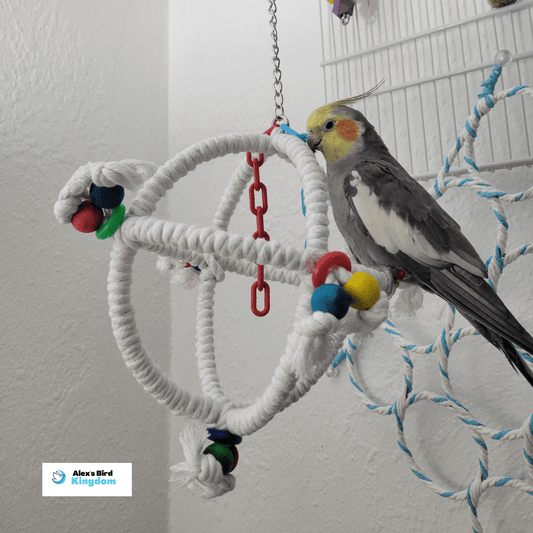Super Bird Creations Bird Toys Orbiter Bird Toy