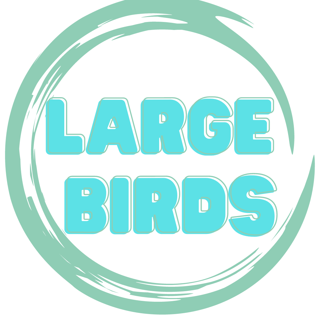 Alex Bird toys- handmade toys designed for big parrots like  African greys, Amazons and cockatoos