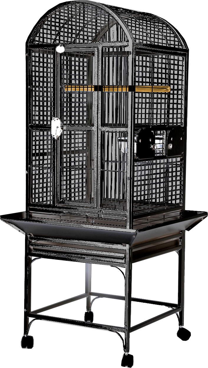 A & E Cages Co Bird Cages & Stands A & E DomeTop Cage 18"x18"x51"