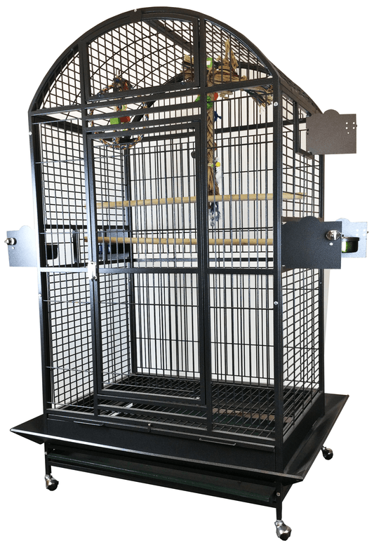 A & E Cages Co Bird Cages & Stands Black Dome Top Cage 40"x30"