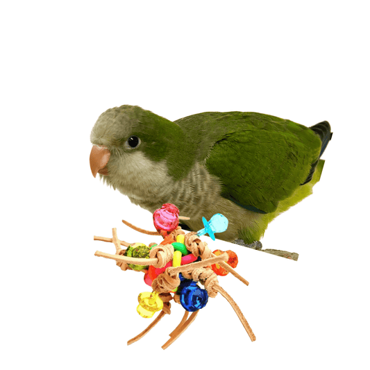 Scooter Z's Bird Toys Knotty Lover Bird Foot Toy