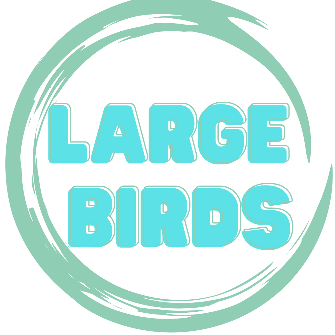 Super Bird Creations Bird Toys 4 Way Forager Bird Toy