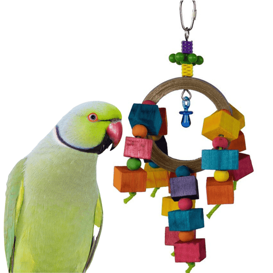 Balsa Rainbow Ring Bird Toy Alex's Bird Kingdom