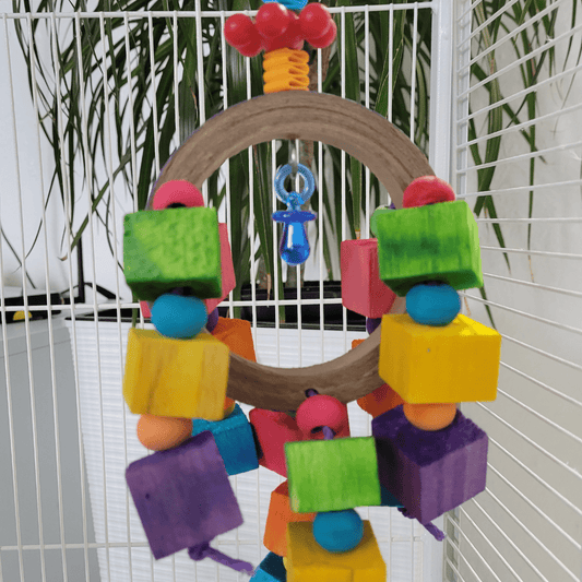 Super Bird Creations Bird Toys Balsa Rainbow Ring Bird Toy