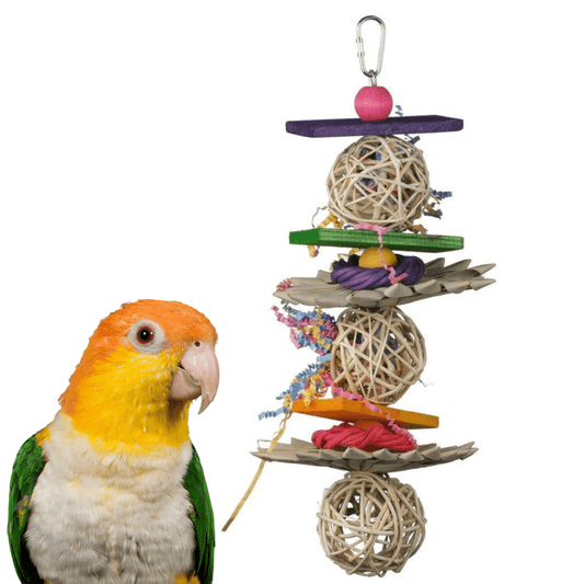 Super Bird Creations Bird Toys Crunch & Munch Bird Toy